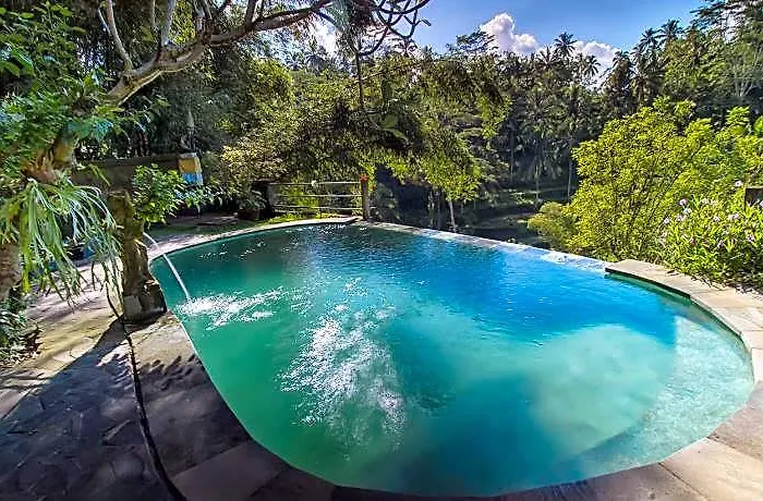 Guest house Wedang 4*