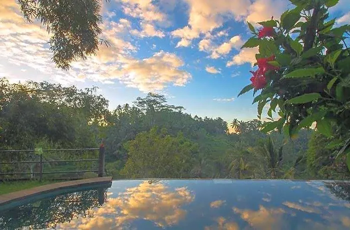 Wedang Tegallalang (Bali)