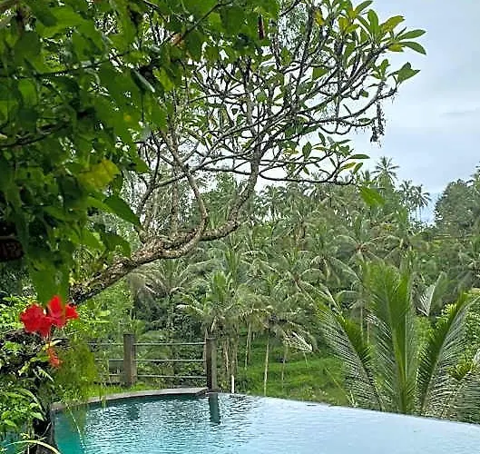 Guest house Wedang