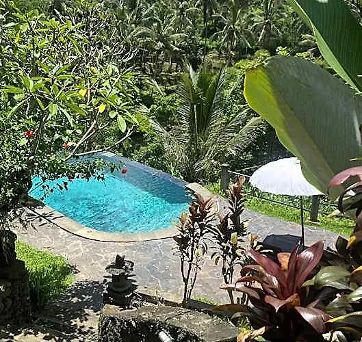 Guest house Wedang 4*
