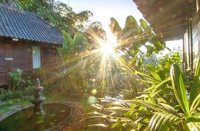 Guest house Wedang 4*