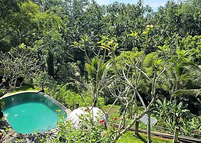 Wedang Guest house