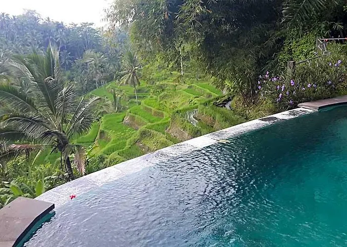 Guest house Wedang Tegallalang (Bali)