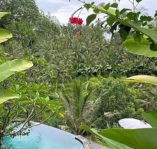 Guest house Wedang 4*