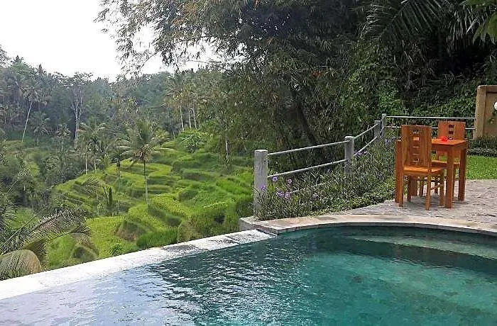 Wedang Guest house
