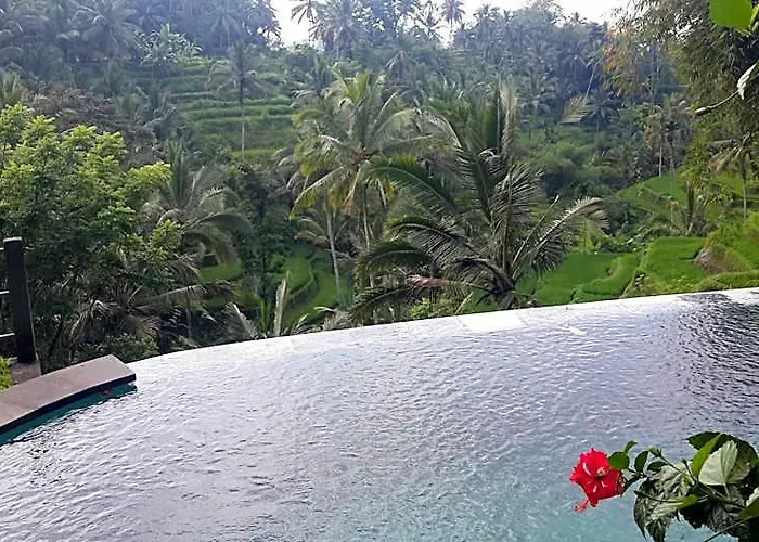 Guest house Wedang