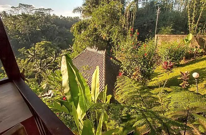 Wedang Guest house