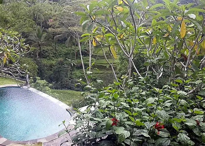 Wedang Guest house Tegallalang (Bali)