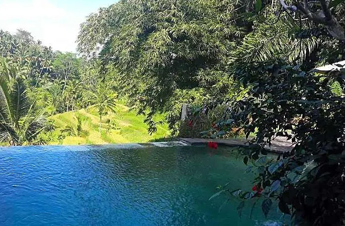 Wedang 4* Tegallalang (Bali)