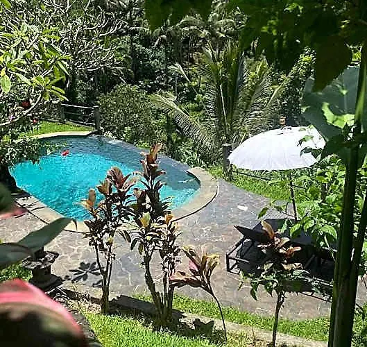 Wedang Guest house